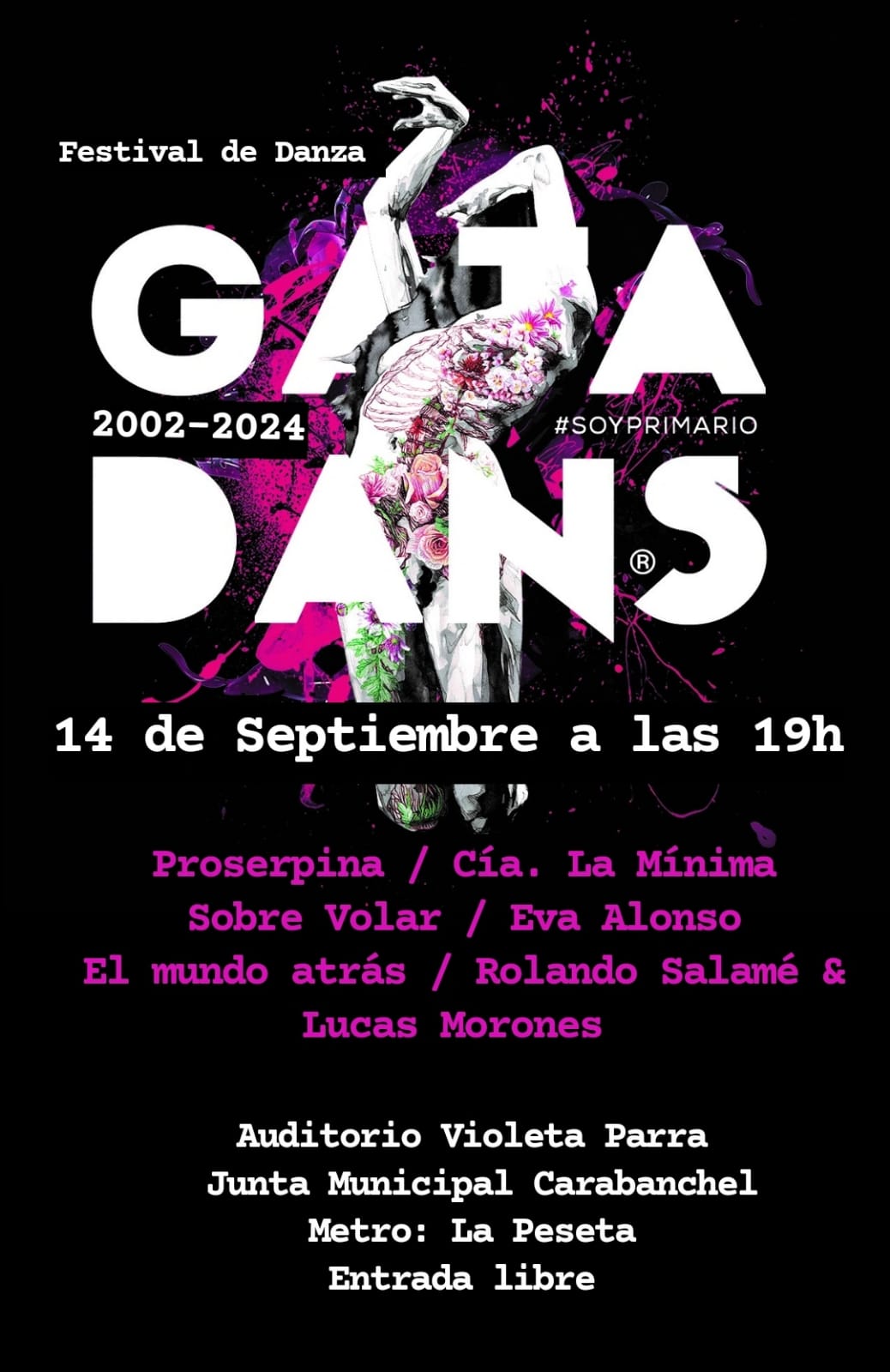 Cartel del festival de música Gata Dance