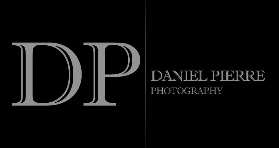 Logo Daniel Pierre