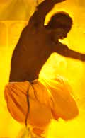 Raíces de áfrica - Ballet Jammu de Senegal
